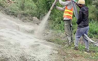 綠化勾花網 綠化勾花網