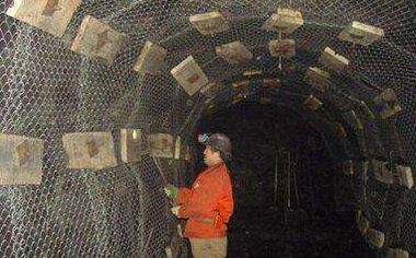 礦用勾花網 礦用勾花網