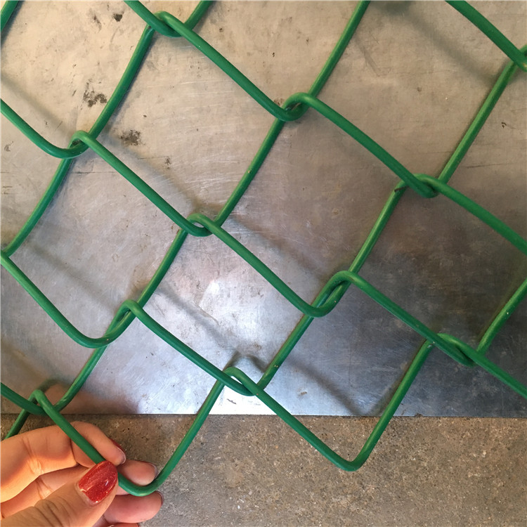 IMG_9609.JPG IMG_9609.JPG