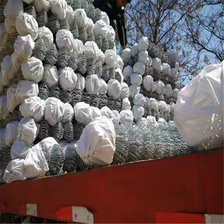 IMG_9437_副本 - 副本.jpg IMG_9437_副本 - 副本.jpg