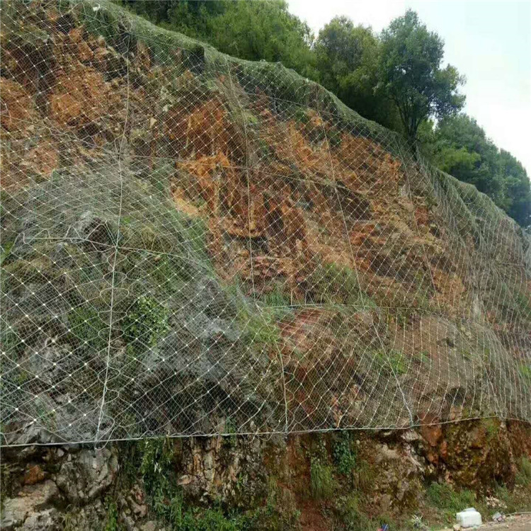 IMG_8361.JPG IMG_8361.JPG