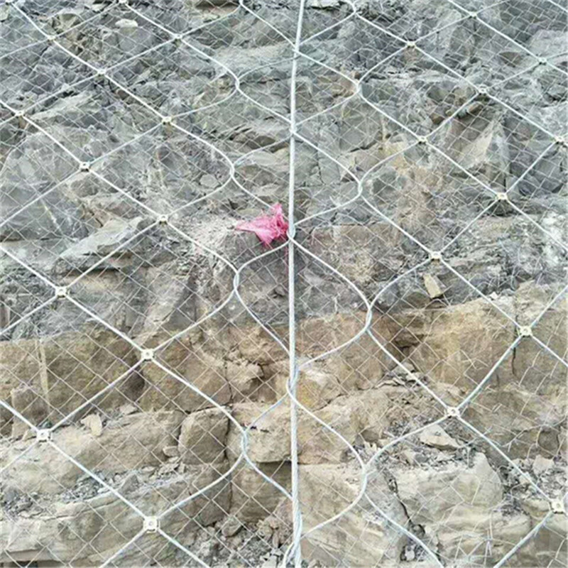 IMG_8466.jpg IMG_8466.jpg