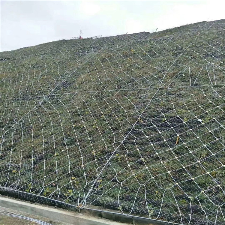 psb (19).jpg psb (19).jpg