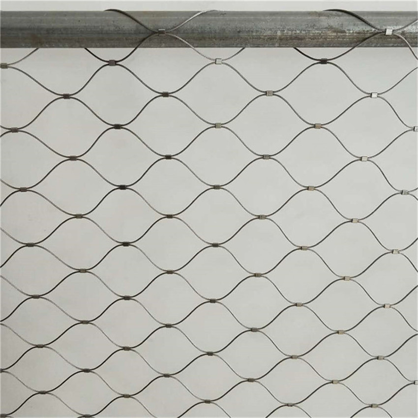 815106920943478826.jpg 815106920943478826.jpg