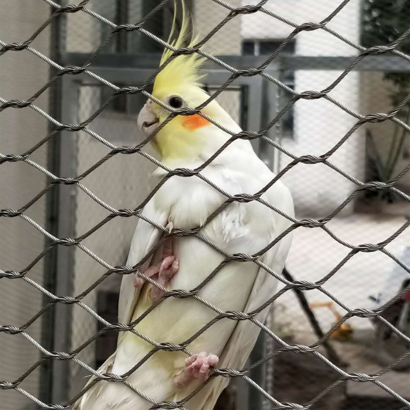 1615e0c94bcb1ec8eb8a8d6f366390c.jpg 1615e0c94bcb1ec8eb8a8d6f366390c.jpg