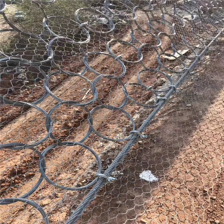 mmexport1535627491664.jpg mmexport1535627491664.jpg