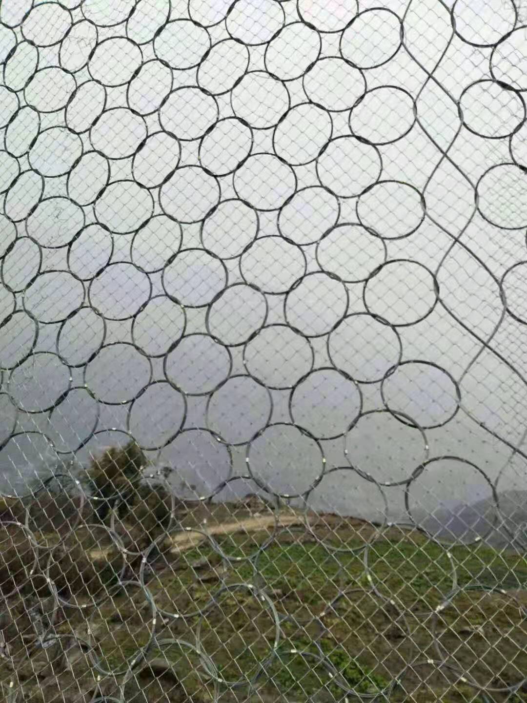 攔石專用環(huán)形防護(hù)網(wǎng) 聚榮網(wǎng) (2).jpg 攔石專用環(huán)形防護(hù)網(wǎng) 聚榮網(wǎng) (2).jpg
