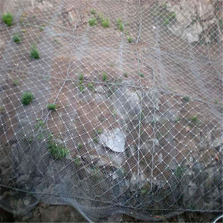 主動網2.jpg 主動網2.jpg