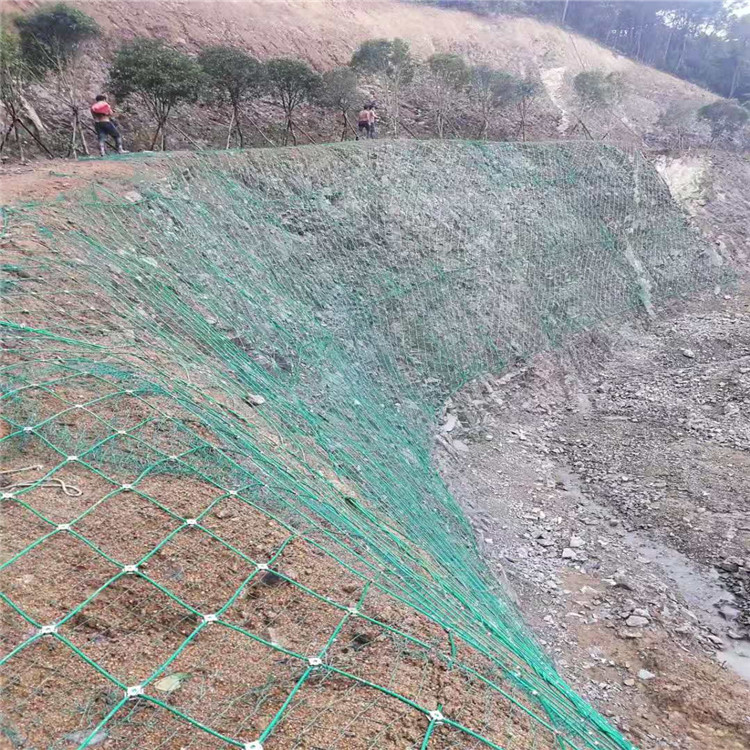 公路主動(dòng)護(hù)坡網(wǎng) 列舉網(wǎng).jpg 公路主動(dòng)護(hù)坡網(wǎng) 列舉網(wǎng).jpg