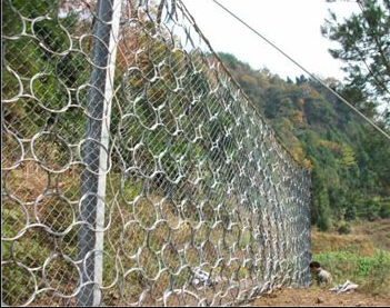 被動環(huán)形攔石網(wǎng)廠 志趣網(wǎng).png 被動環(huán)形攔石網(wǎng)廠 志趣網(wǎng).png