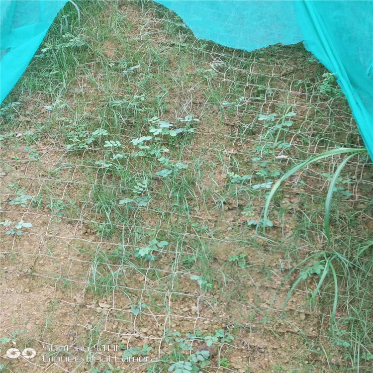 mmexport1533114198405.jpg mmexport1533114198405.jpg