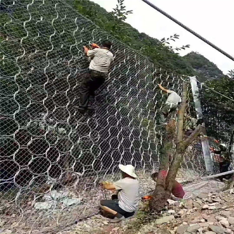 國標(biāo)RXI-200型環(huán)形網(wǎng).jpg 國標(biāo)RXI-200型環(huán)形網(wǎng).jpg