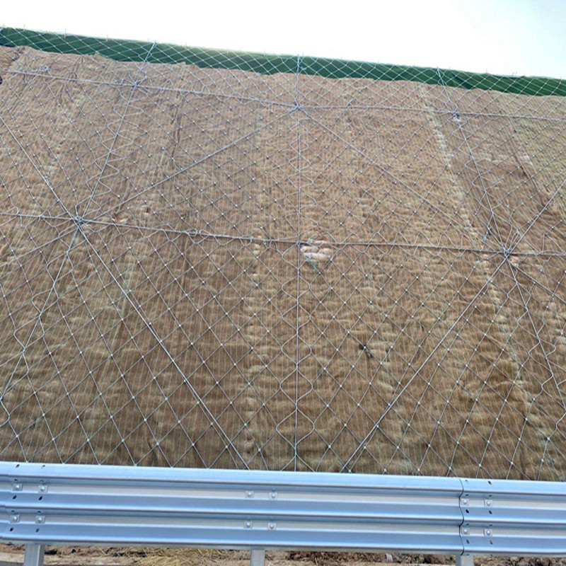 成都高速路邊坡防護網安裝