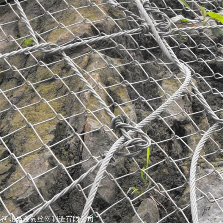 b_4266294_201902241037243042.jpg b_4266294_201902241037243042.jpg