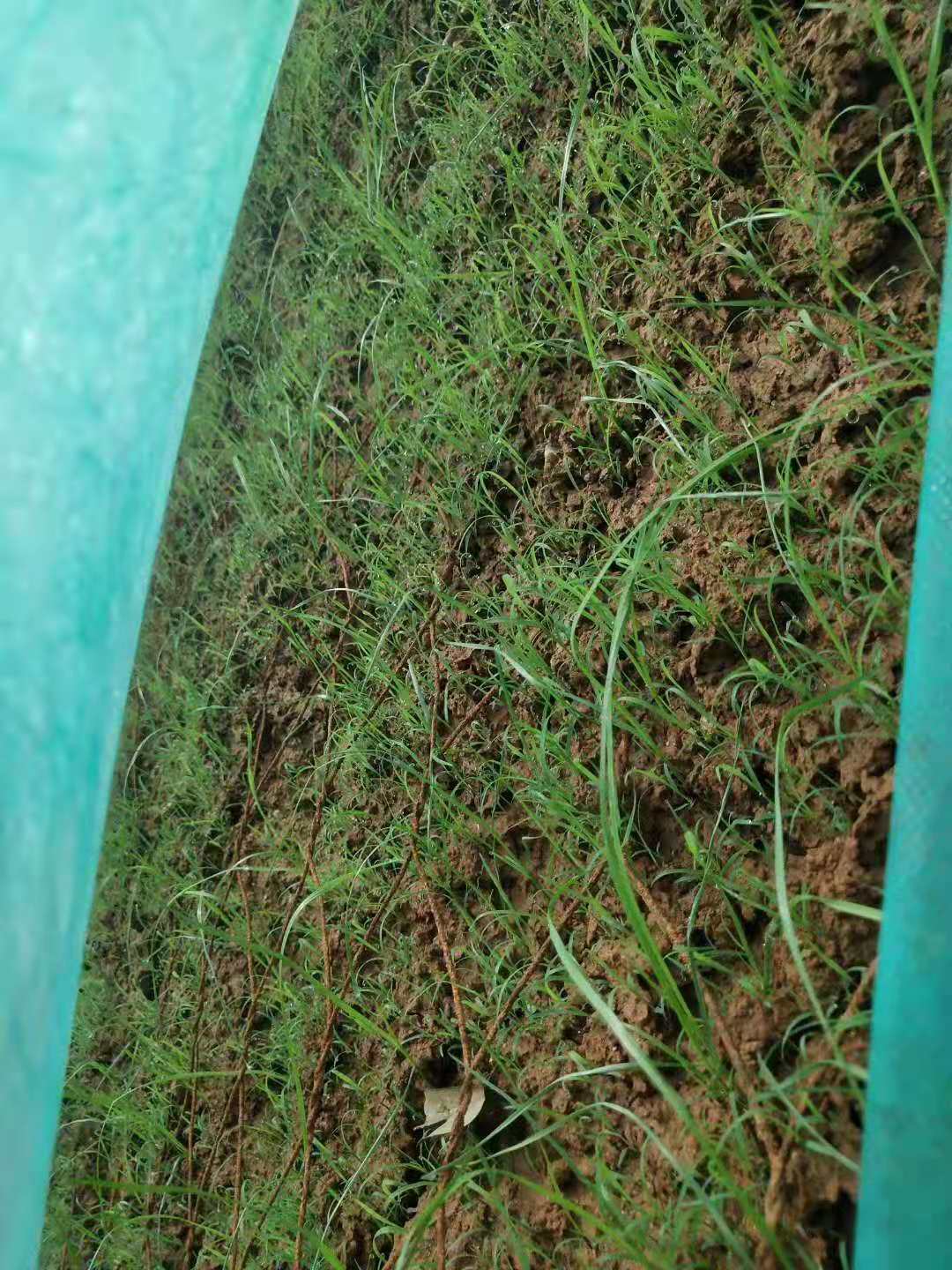 866a730b02f21f3927b377ffe894e4f.jpg 866a730b02f21f3927b377ffe894e4f.jpg